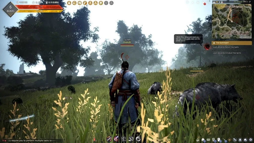 black-desert-mmorpg-review